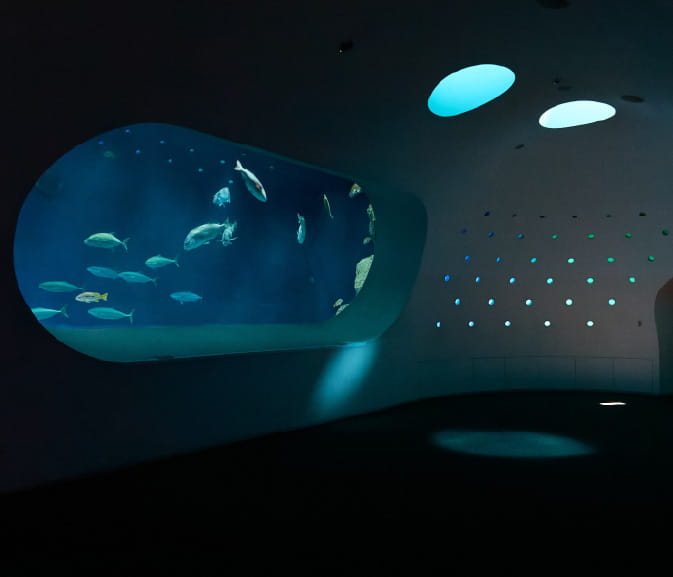 大分マリーンパレス水族館「うみたまご」