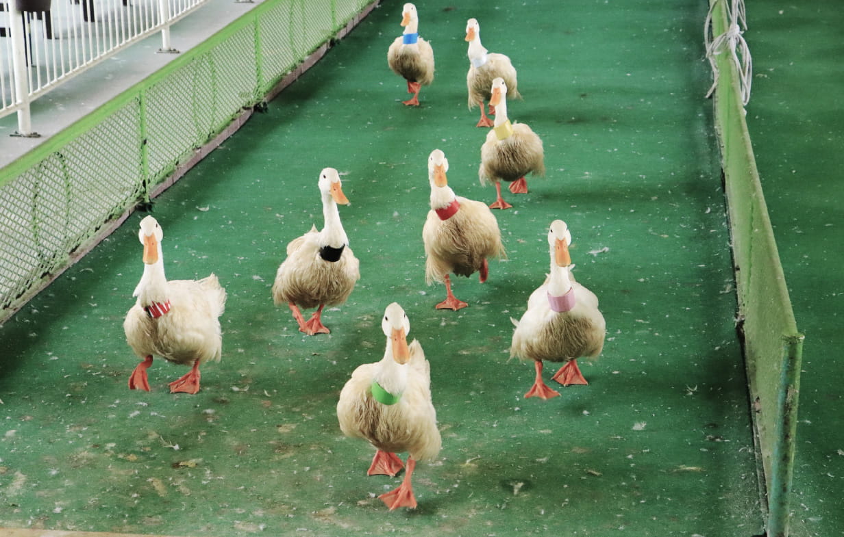 定番の別府観光へ